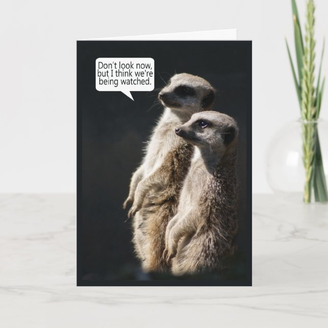 Carte d'anniversaire d'amusement avec Meerkats - (Devant)