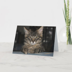 Carte d'anniversaire d'attente Kimber