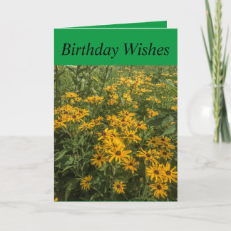Carte d'anniversaire de 5 po x 7 po