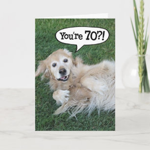 Carte d'anniversaire de 70th Golden Retriever choq