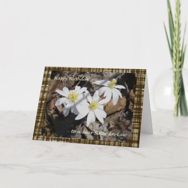 Carte d'anniversaire de belle-soeur de Bloodroot (Devant)