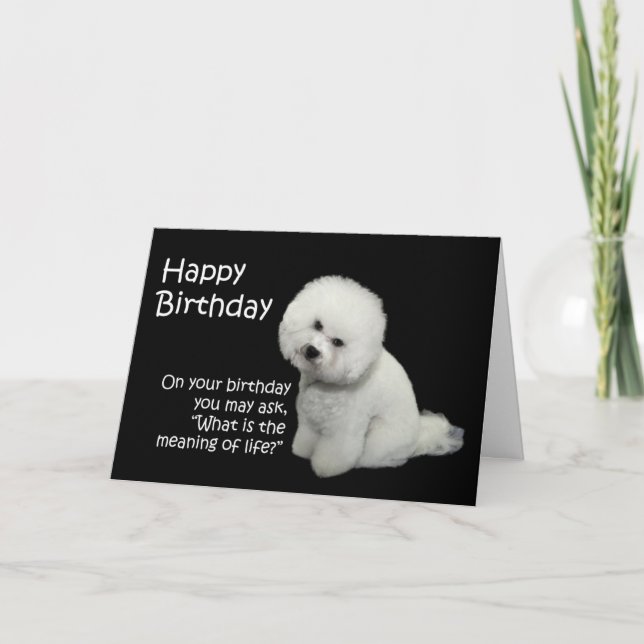 Carte d'anniversaire de Bichon (Devant)