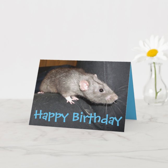 Carte d'anniversaire de Blue Dumbo Rat (Petite plante)