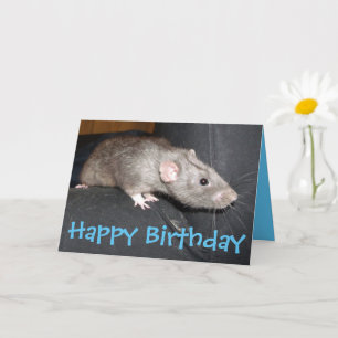 Carte d'anniversaire de Blue Dumbo Rat