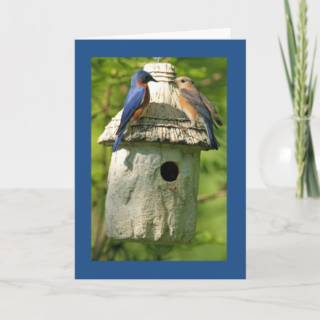 carte d'anniversaire de bluebird (Devant)