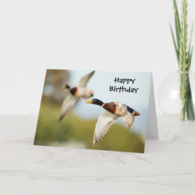 Carte d'anniversaire de canard (ou toute autre occ (Devant)