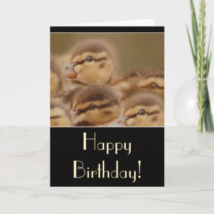 Carte d'anniversaire de canettes