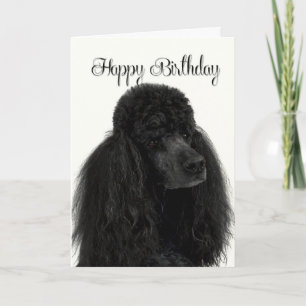 Carte d'anniversaire de caniche