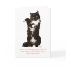 Carte d'anniversaire de chat amusant