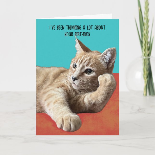 Carte d'anniversaire de chat amusant (Devant)