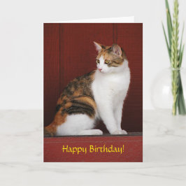 Carte d'anniversaire de chat de calicot