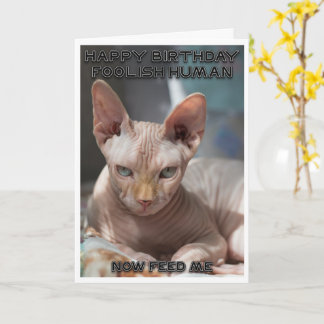Carte d'anniversaire de chat méchant