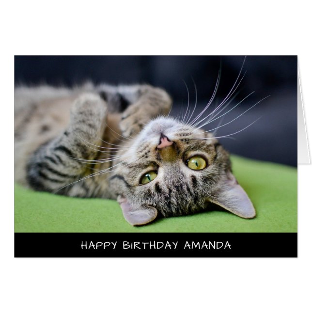 Carte d'anniversaire de chat mignonne (Devant horizontal)
