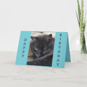 Carte d'anniversaire de chat noir