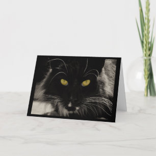 Carte d'anniversaire de chat noir, 70 ans de Perso
