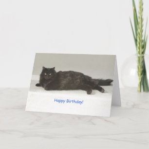 Carte d'anniversaire de chat noir par point pour u