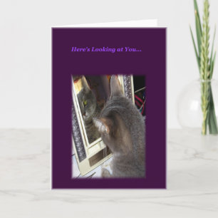 Carte d'anniversaire de chat pour elle