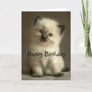 Carte d'anniversaire de chaton de Ragdoll