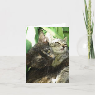 Carte d'anniversaire de chatons mignons se câlinan