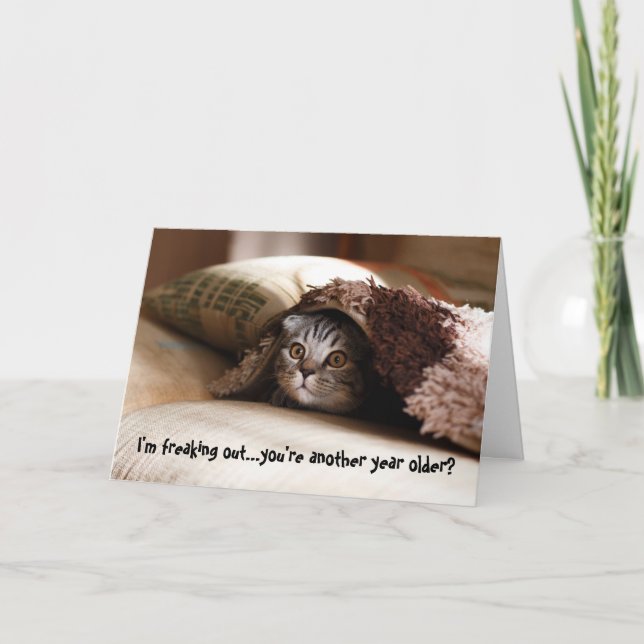 Carte d'anniversaire de chats de chats de chats en (Devant)