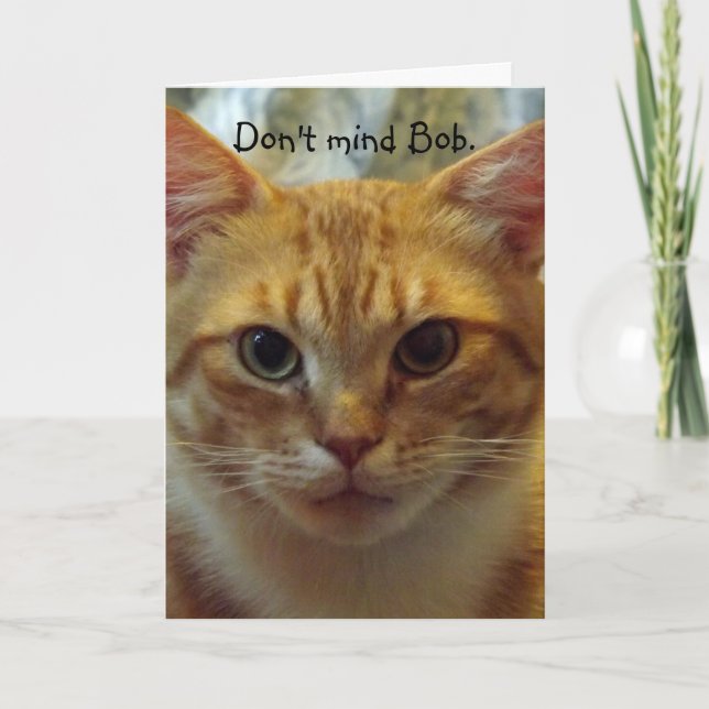 Carte d'anniversaire de chats humoristiques (Devant)