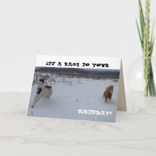 Carte d'anniversaire de cheval avec l'avoine ?