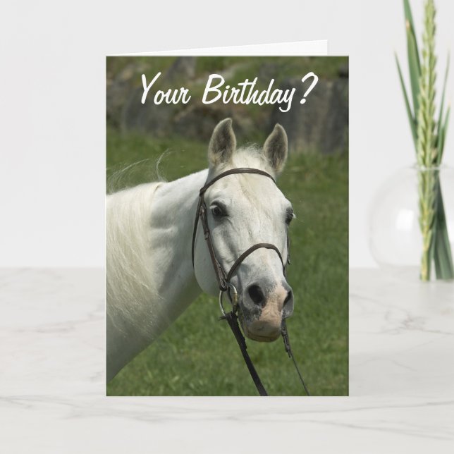 Carte d'anniversaire de cheval blanc (Devant)