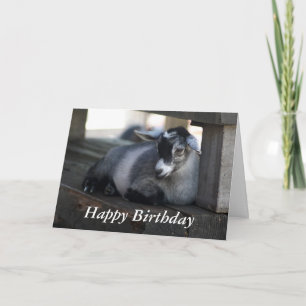 Carte d'anniversaire de chèvre