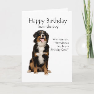 Carte d'anniversaire de chien de Bernese Mt.