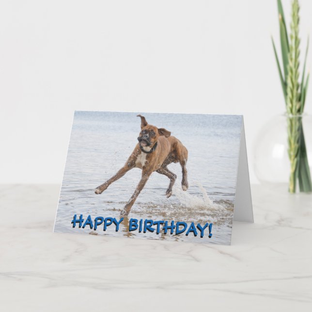 Carte d'anniversaire de chien de boxeur (Devant)