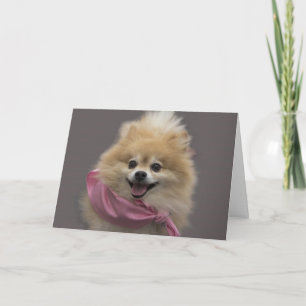 Carte d'anniversaire de chien de Pomeranian par le