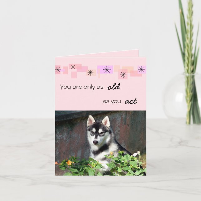Carte d'anniversaire de chien de traîneau sibérien (Devant)