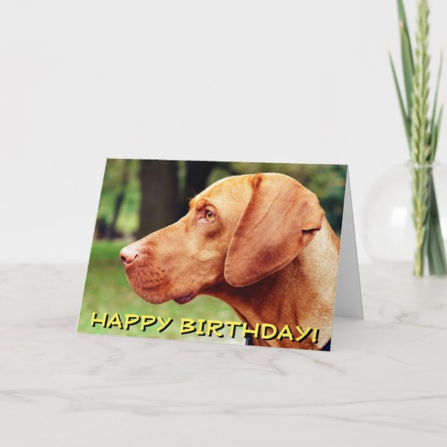 Carte d'anniversaire de chien de Vizsla (Devant)