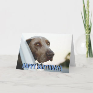 Carte d'anniversaire de chien de Weimaraner