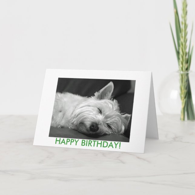 Carte d'anniversaire de chien de Westie (Devant)