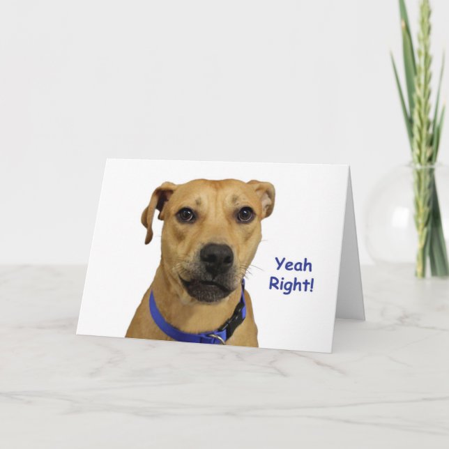 Carte d'anniversaire de chien droit (Devant)