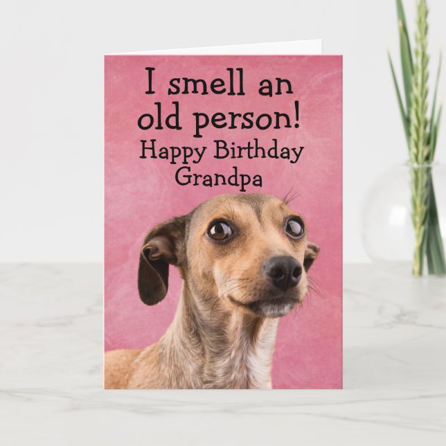 Carte d'anniversaire de chien drôle (Devant)