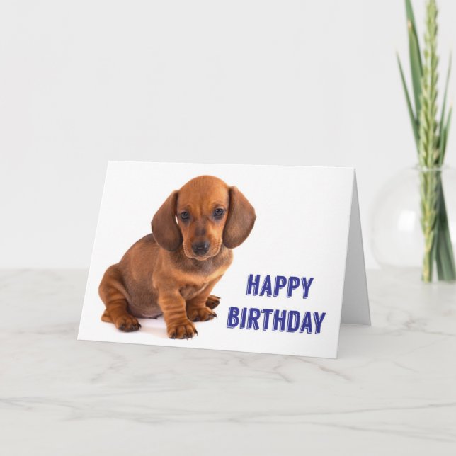 Carte d'anniversaire de Chiot de Dachshund (Devant)