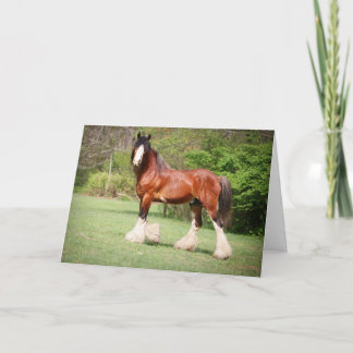 Carte d'anniversaire de Clydesdale
