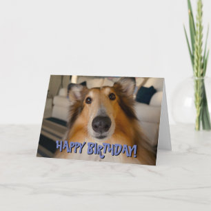Carte d'anniversaire de collie drôle