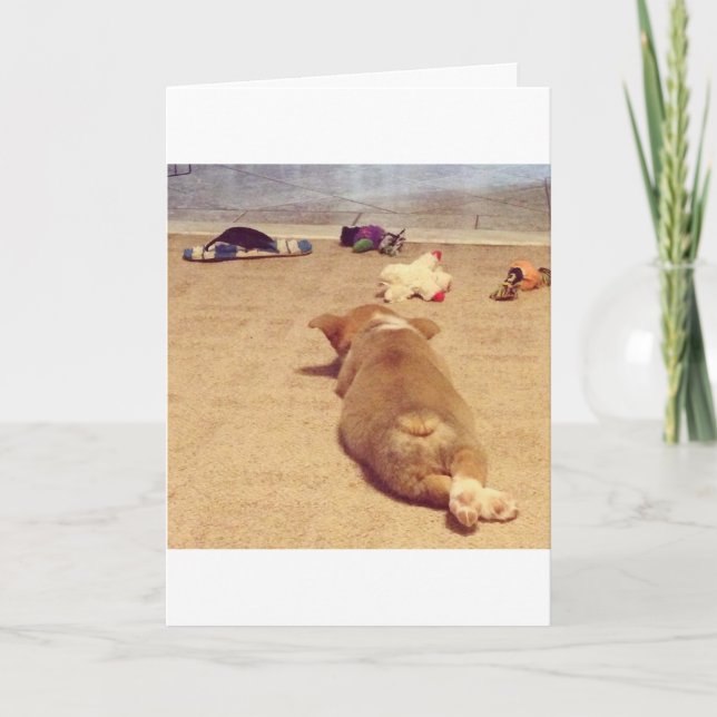 Carte d'anniversaire de corgi (Devant)