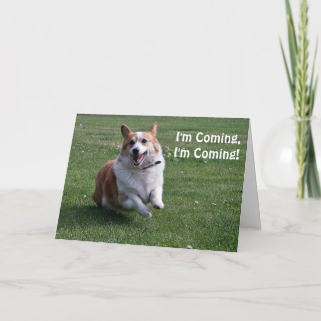 Carte d'anniversaire de Corgi (Devant)