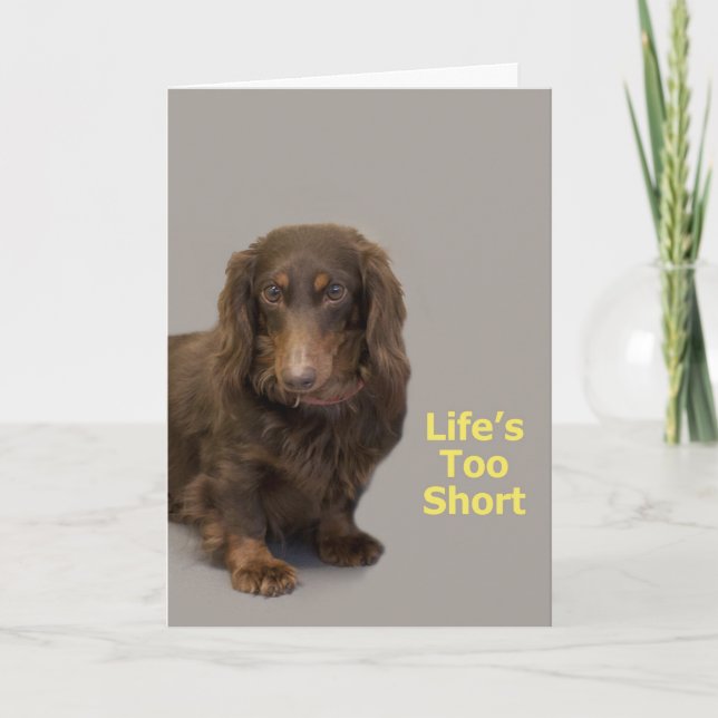 Carte d'anniversaire de Dachshund (Devant)