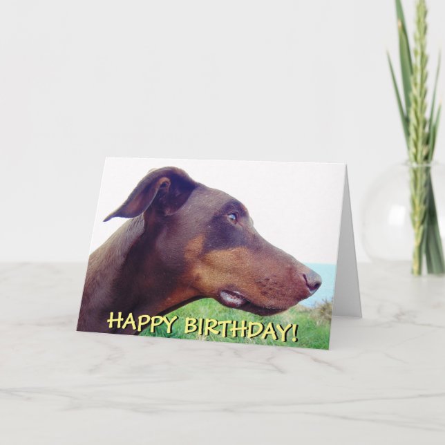 Carte d'anniversaire de doberman rouge (Devant)