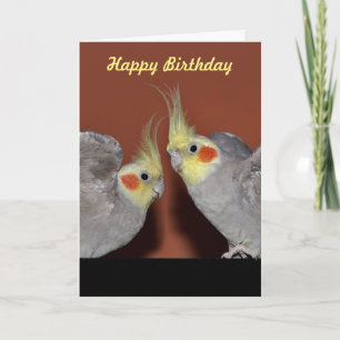Carte d'anniversaire de duo de Cockatiel