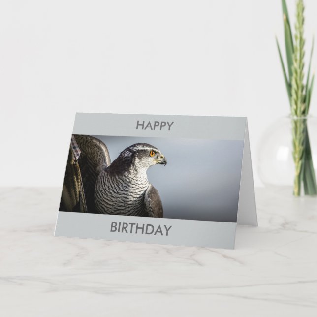Carte d'anniversaire de faucon pérégrin (Devant)