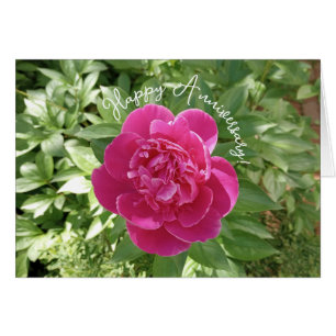 Carte d'anniversaire de fleur de pivoine rose vibr