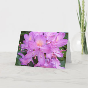 Carte d'anniversaire de fleur de rhododendron