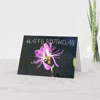 Carte d'anniversaire de fleur sauvage de Lambskill