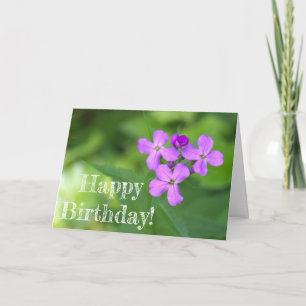 Carte d'anniversaire de Fleur sauvage violet